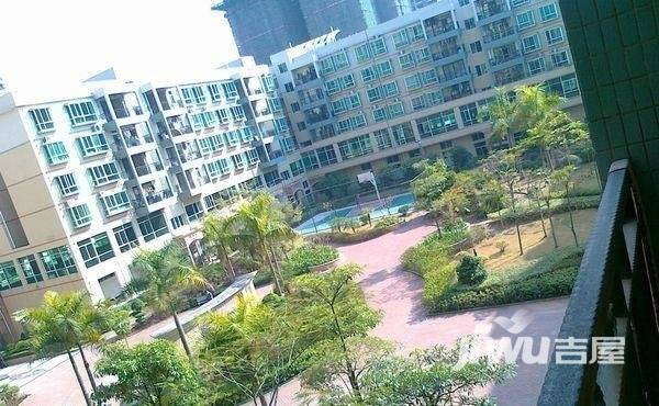 城市绿兴实景图图片