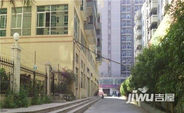 城市绿兴实景图图片