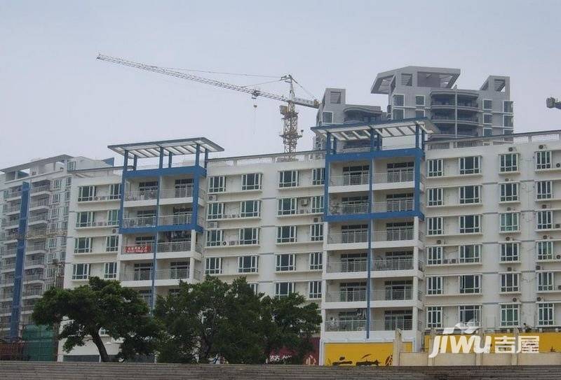 本因坊实景图图片