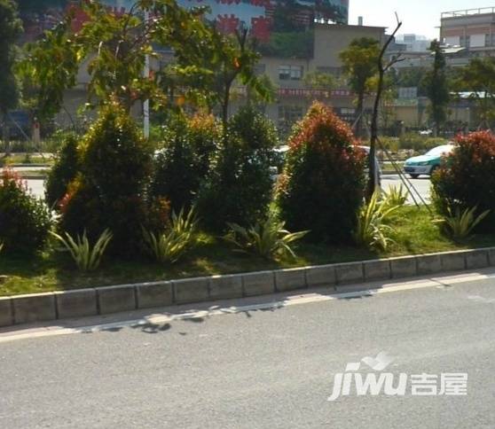 大坤金洲广场实景图图片