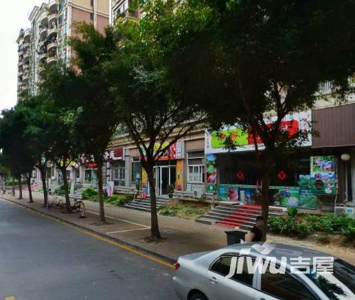 阳光一族实景图图片