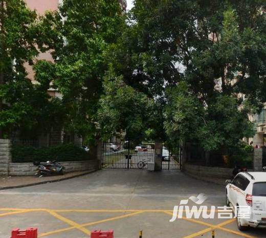 阳光一族实景图图片