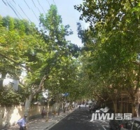 柳林村实景图图片
