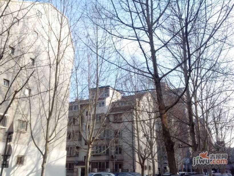 东花市北里实景图图片