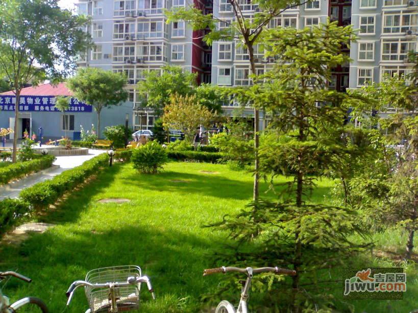 城市亮点实景图图片