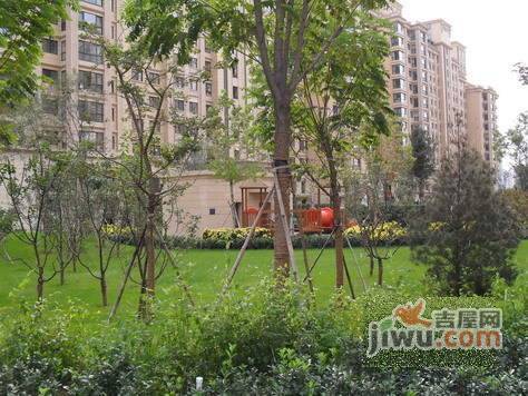 富莱茵花园实景图图片