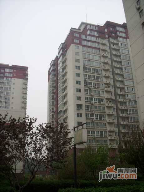 富莱茵花园实景图图片