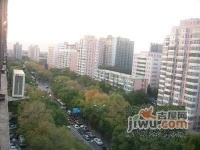 海淀南路实景图图片