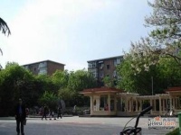 中国科学院中关村东南小区实景图10