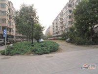 天通苑东三区实景图12