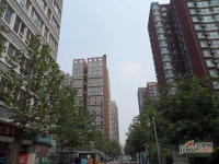 天通苑东三区实景图12