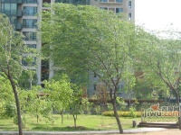 怡海花园实景图图片