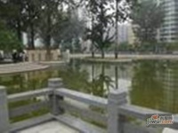 润枫水尚实景图12