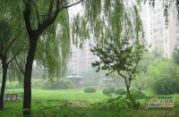 芳城园实景图图片
