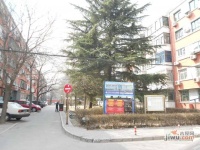 天和人家实景图53