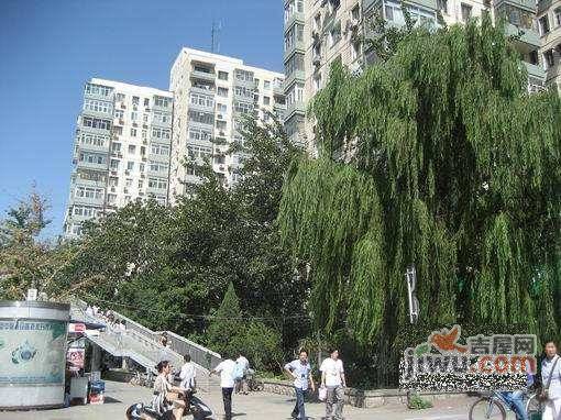 海淀南路实景图图片