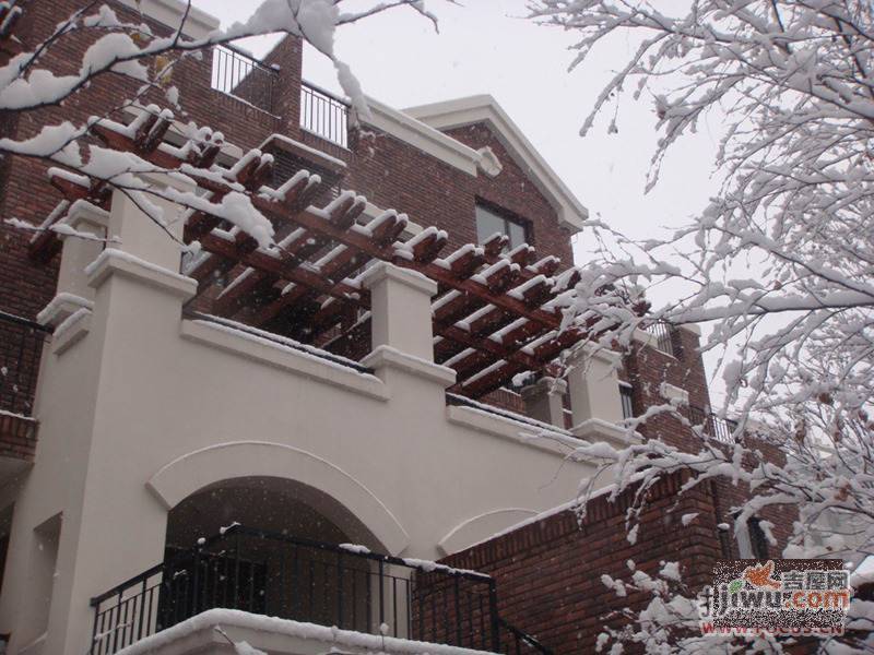 融科香雪兰溪实景图图片