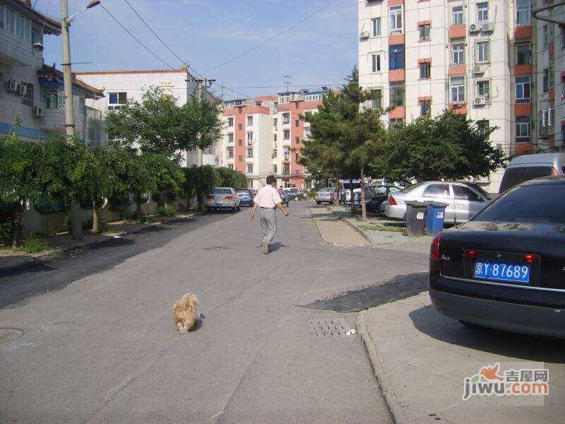 滨河西里实景图图片