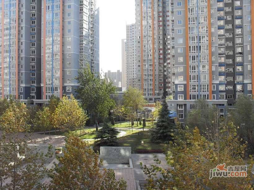 银领国际实景图图片