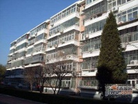 石园南社区实景图6