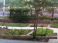马坡花园实景图图片
