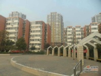 沁春家园实景图图片