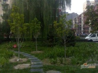 翠城馨园实景图图片