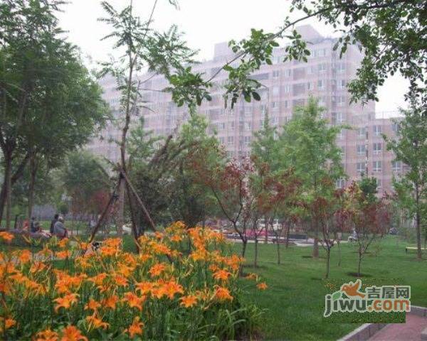 领行国际实景图图片