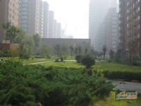 定福家园北里实景图1