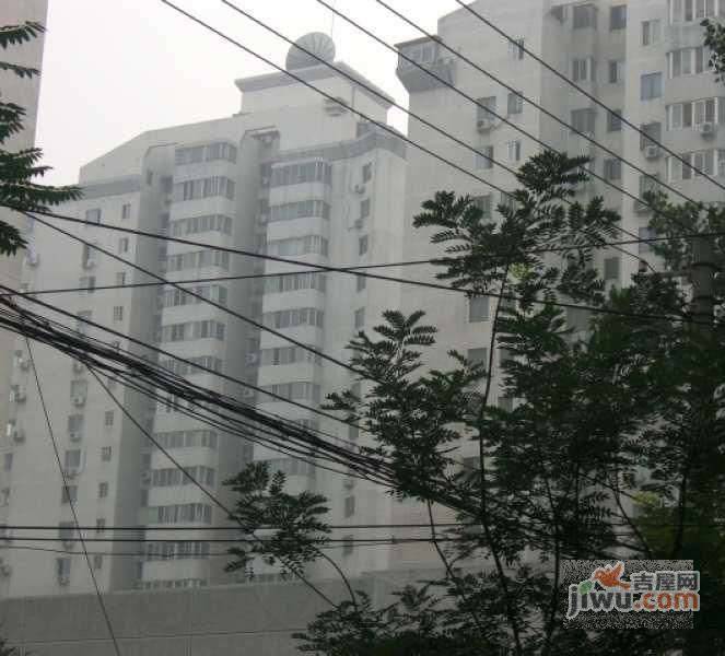今典花园实景图图片