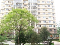 北辰绿色家园实景图图片