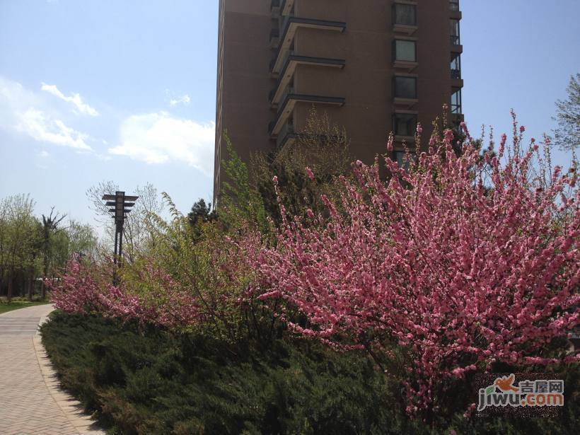 世茂奥临花园实景图图片