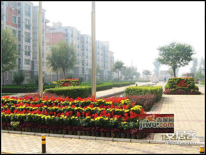 荔景园实景图图片