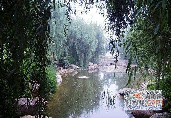 绿荫别墅实景图图片