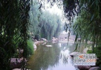 绿荫别墅实景图4