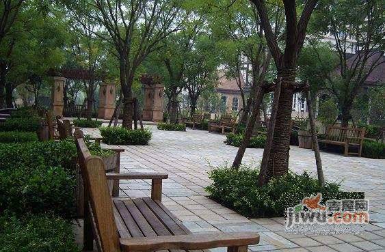 绿荫别墅实景图图片