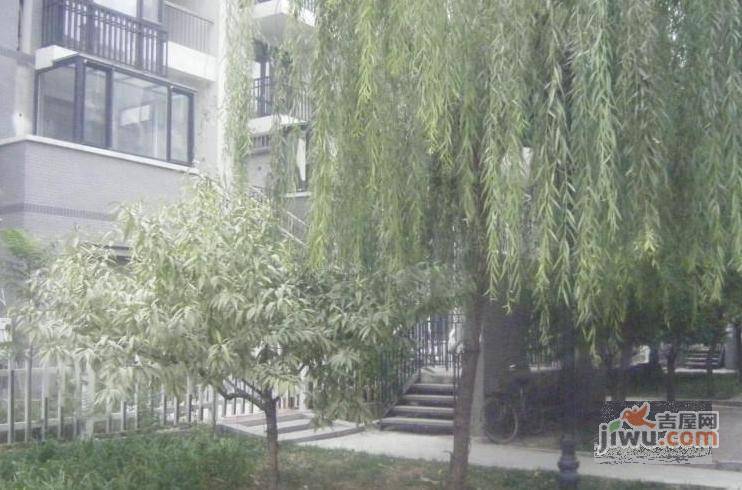 桃花岛实景图图片