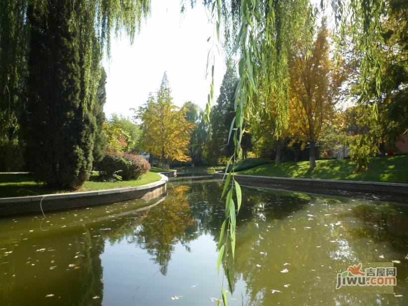 丽京花园实景图图片