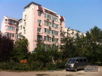 樱花园一区实景图6