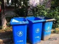 樱花园一区实景图6