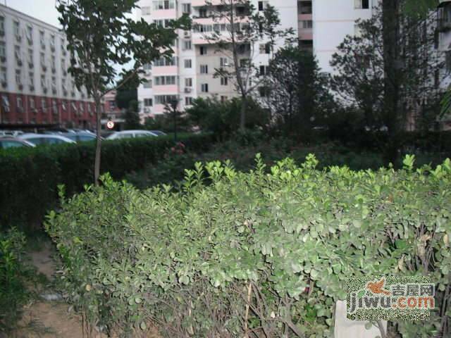 北蜂窝中路散盘实景图图片