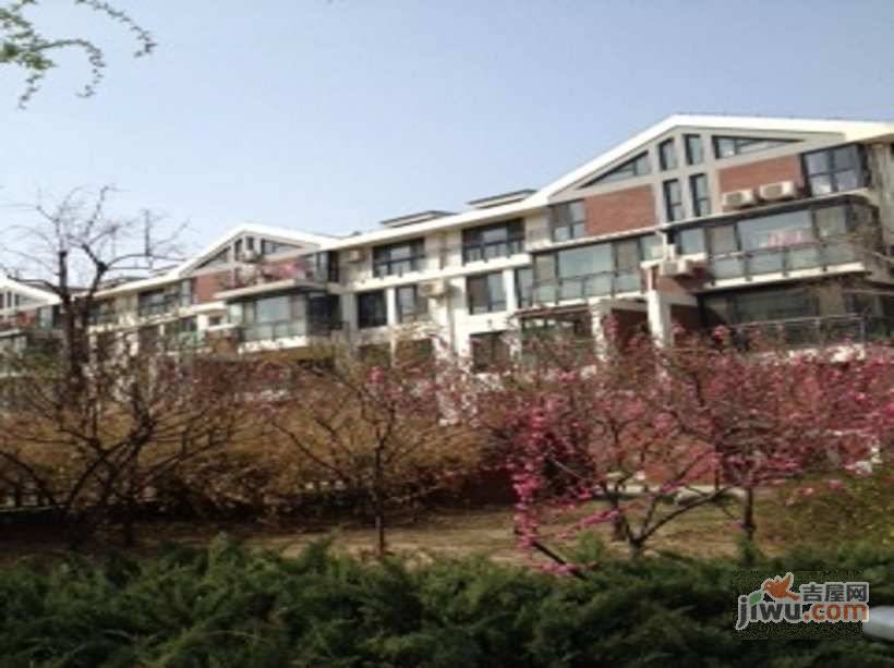 金隅山墅实景图图片