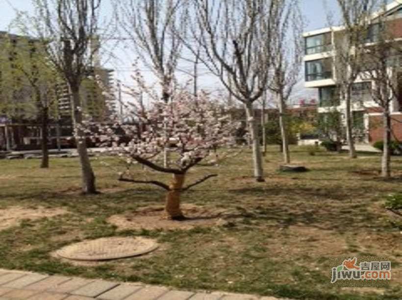 金隅山墅实景图图片