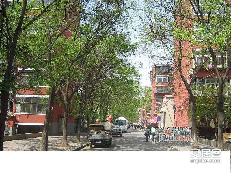 玉兰园小区实景图图片