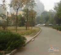 百旺新城春晖园实景图图片