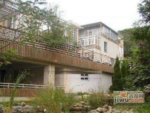 半山枫林实景图图片