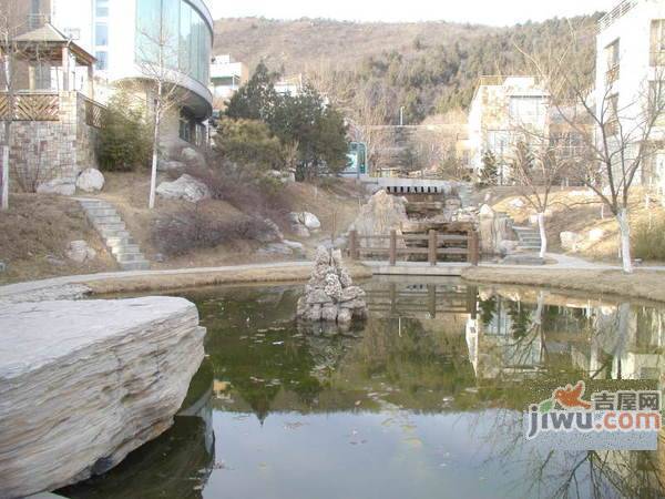 半山枫林实景图图片