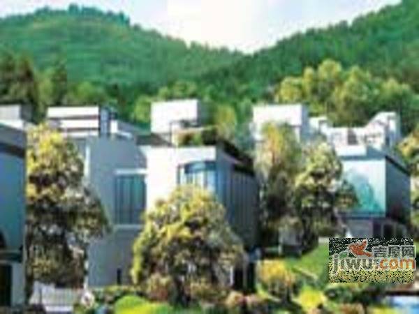 半山枫林实景图图片