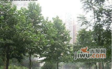 淸上园实景图图片