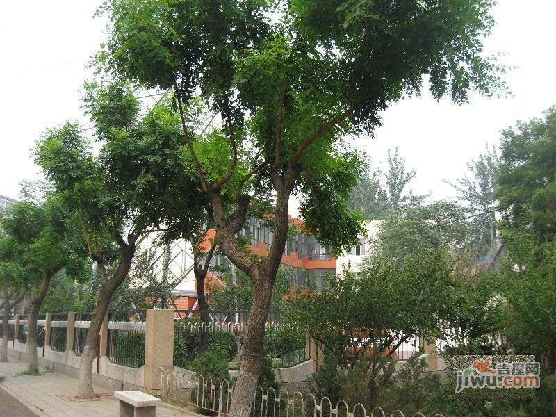 毛纺北小区实景图图片